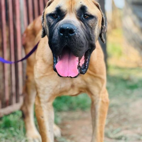 Picture taken 20/10/2025